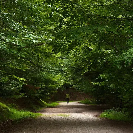 Atico Camino Real By Bevalle Panticosa