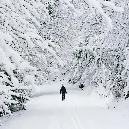 Atico Camino Real By Bevalle Apartment