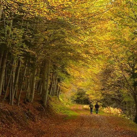 Atico Camino Real By Bevalle * Panticosa