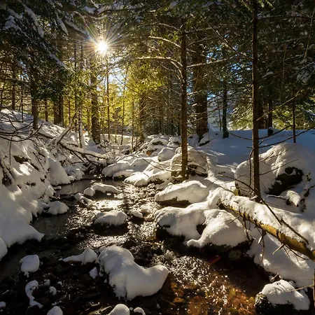 Atico Camino Real By Bevalle