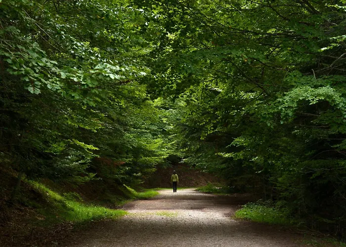 Atico Camino Real By Bevalle Panticosa