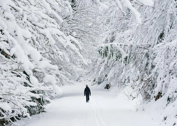 Atico Camino Real By Bevalle Apartment