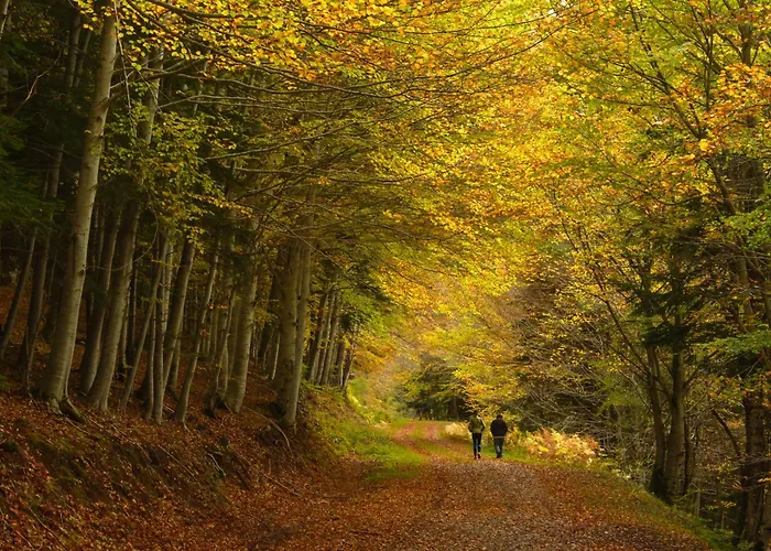 Atico Camino Real By Bevalle * Panticosa