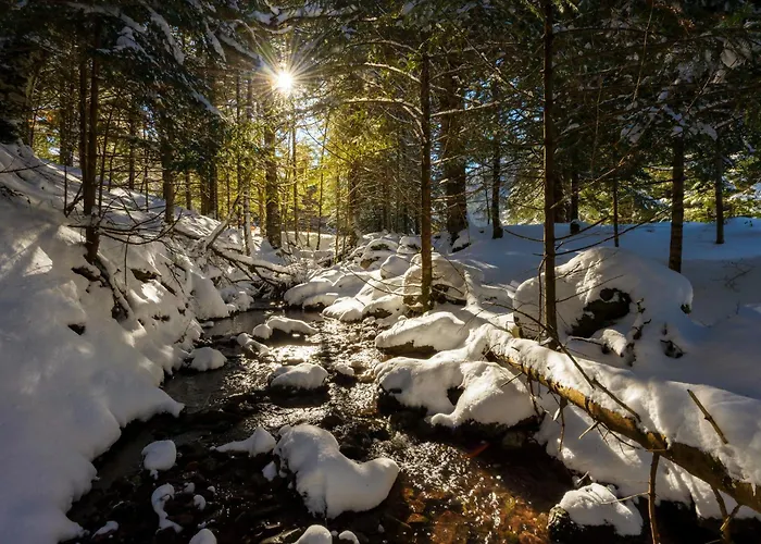 Atico Camino Real By Bevalle